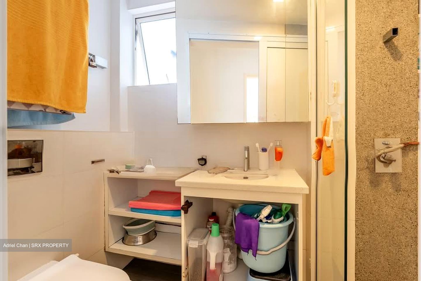 Eng Kong Green (D21), Condominium #602749451